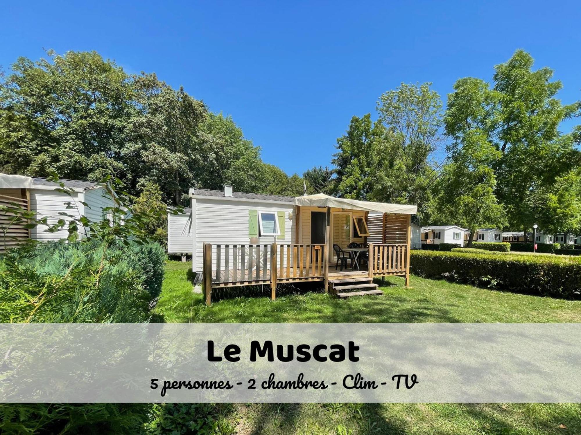 Le Muscat - Bungalow Pour 5 - Tv - Clim Boofzheim Szoba fotó